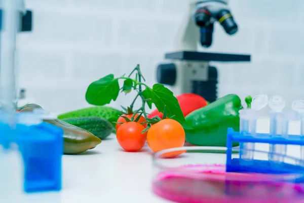 Laboratorio Chimico Della Alimentazione Alimenti Laboratorio Dna Modificare Ogm Alimenti — Foto Stock