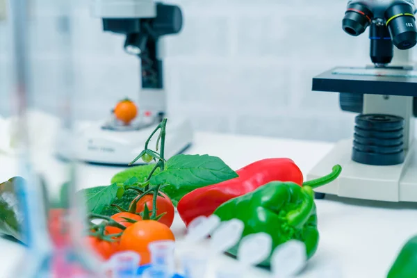 Laboratorio Químico Alimentación Alimentos Laboratorio Adn Modificar Gmo Alimentos Genéticamente —  Fotos de Stock