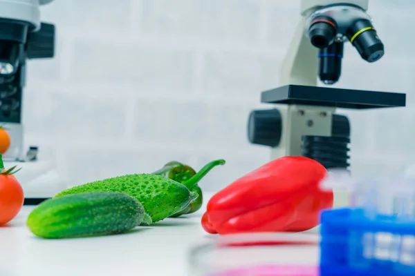 Laboratorio Químico Alimentación Alimentos Laboratorio Adn Modificar Gmo Alimentos Genéticamente —  Fotos de Stock