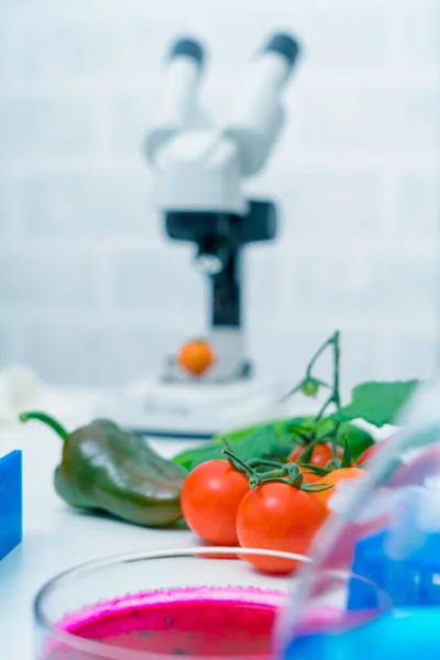 Chemisch Laboratorium Van Voedselvoorziening Voedsel Het Laboratorium Dna Wijzigen Gmo — Stockfoto