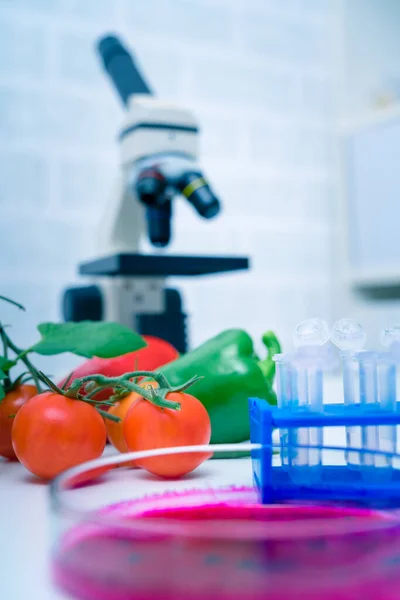 Chemisch Laboratorium Van Voedselvoorziening Voedsel Het Laboratorium Dna Wijzigen Gmo — Stockfoto