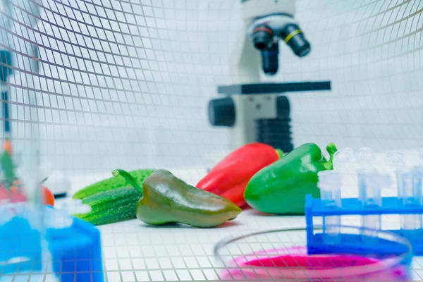 Chemisch Laboratorium Van Voedselvoorziening Voedsel Het Laboratorium Dna Wijzigen Gmo — Stockfoto