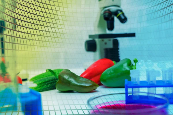 Chemisch Laboratorium Van Voedselvoorziening Voedsel Het Laboratorium Dna Wijzigen Gmo — Stockfoto