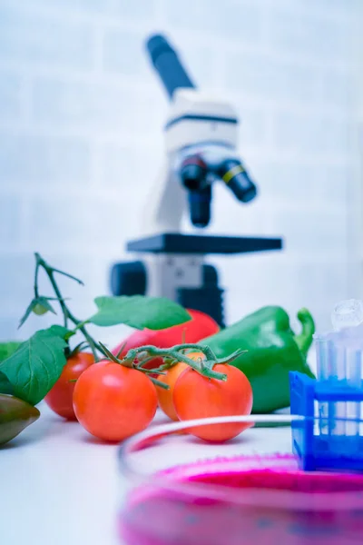 Chemisch Laboratorium Van Voedselvoorziening Voedsel Het Laboratorium Dna Wijzigen Gmo — Stockfoto