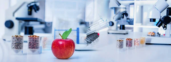 Chemical Laboratory Food Supply Food Laboratory Dna Modify Gmo Genetically — Stock Photo, Image