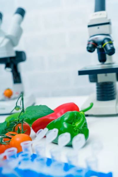 Laboratorio Químico Alimentación Alimentos Laboratorio Adn Modificar Gmo Alimentos Genéticamente —  Fotos de Stock