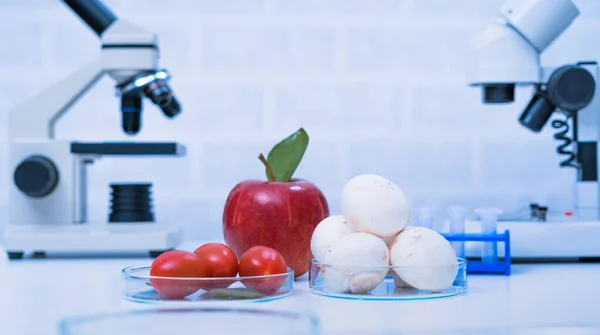 Laboratorio Químico Alimentación Alimentos Laboratorio Adn Modificar Gmo Alimentos Genéticamente —  Fotos de Stock