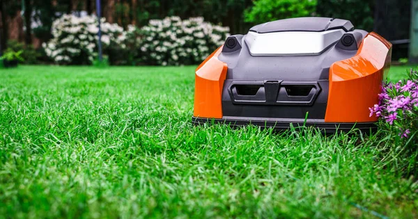 Çim robotu çimleri biçiyor. Robotik çim biçme makinesi bahçede çim biçiyor..