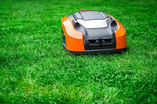 Rasenroboter Mähen Den Rasen Mähroboter Mähen Gras Garten — Stockfoto