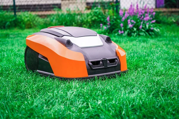 Een Grasrobot Maait Het Gazon Robotmaaier Gras Maaien Tuin Stockfoto
