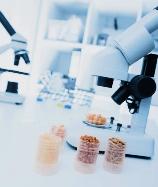 Seed Subject Selection Microbiological Laboratory Microbiological Testing Food Quality — Stock Photo, Image