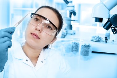 gıda kalite Laboratuvar Laboratuvar Görevlisi