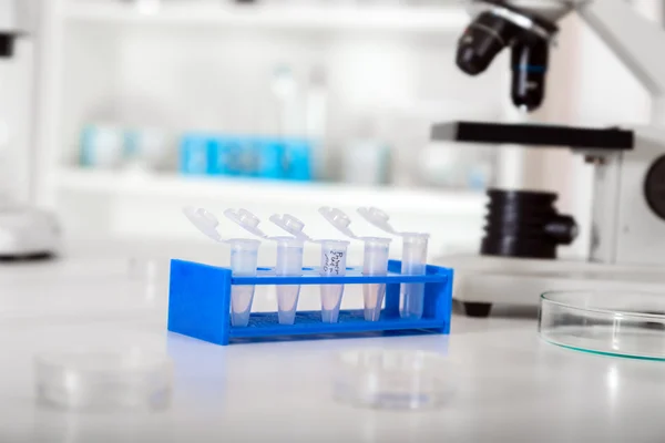 Micro tubes with biological samples in laboratory — Stock Photo, Image