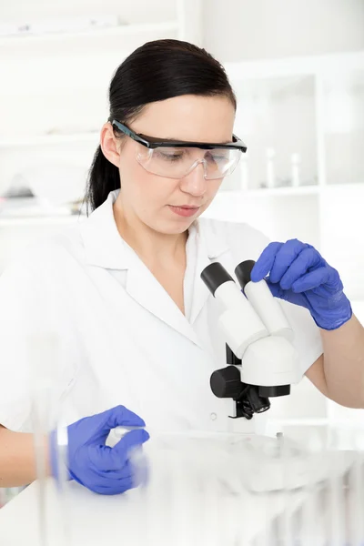 Wetenschapper werkzaam in het laboratorium. — Stockfoto