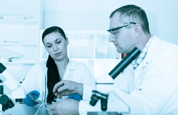 Paar van wetenschappers aan het werk in een laboratorium — Stockfoto