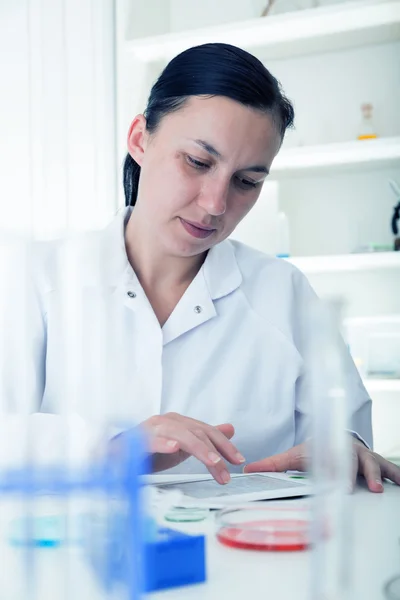 Cientista que trabalha no laboratório. — Fotografia de Stock