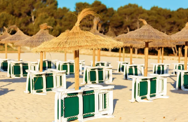 Straw parasols and beds on the sandy beach — Stock Photo, Image