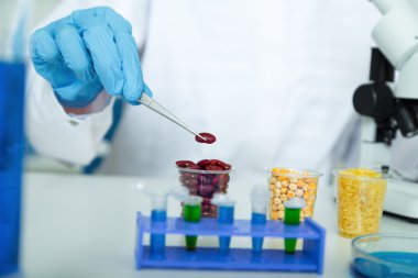 gıda kalite Laboratuvar Laboratuvar Görevlisi