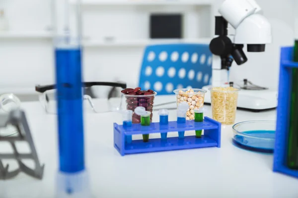 Maïs onderworpen aan selectie in microbiologisch laboratorium — Stockfoto