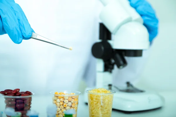 Laboratory assistant in the laboratory of food quality — Stock Photo, Image