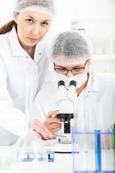 Женщина-ученый, работающая с микроскопом в лаборатории — стоковое фото