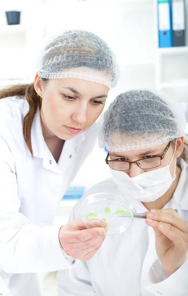 Женщина-ученый работает с инструментами во время научных экспериментов в лаборатории — стоковое фото