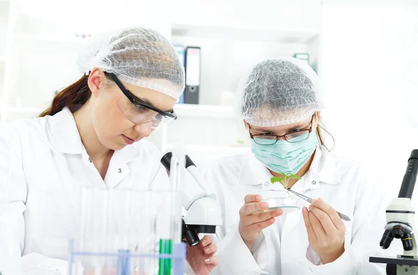 Woman scientist working with tools during scientific experiment in laboratory — Stock Photo, Image