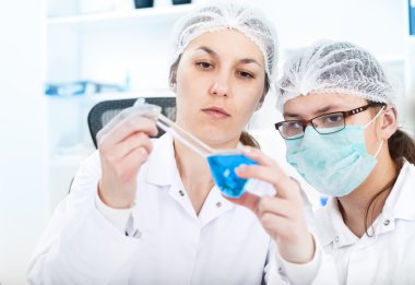 laboratuarda çalışan öğrenci grubu