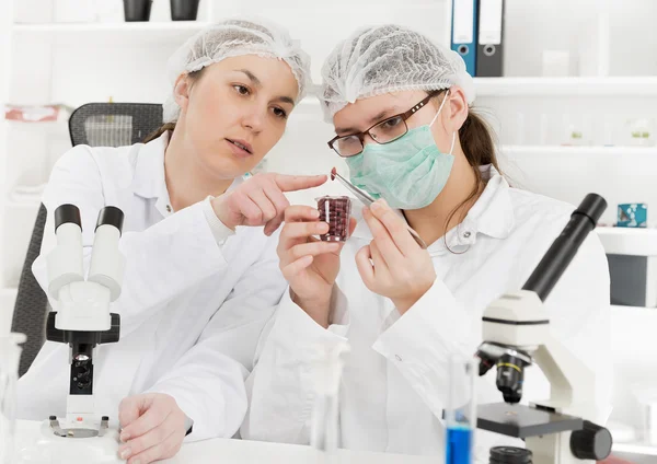 Assistente de laboratório no laboratório de qualidade alimentar — Fotografia de Stock