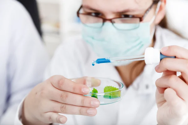 Vrouw wetenschapper houden een reageerbuis met plant — Stockfoto