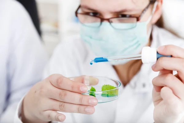 Mujer científica sosteniendo un tubo de ensayo con planta — Foto de Stock