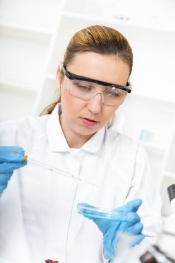 kadın araştırmacı laboratuarda cam ekipman ile.