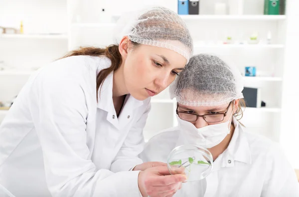 Team van wetenschappers in een laboratorium bezig met chemische testen — Stockfoto