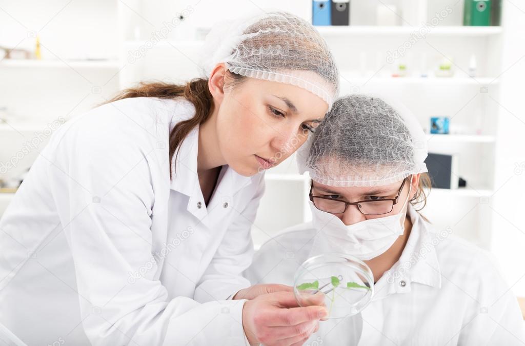 Team of scientists in a laboratory working on chemical testing