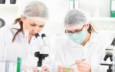 Bilim adamlarının bir laboratuvar kimyasal test üzerinde çalışan ekip.