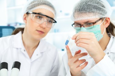 laboratuarda çalışan öğrenci grubu.