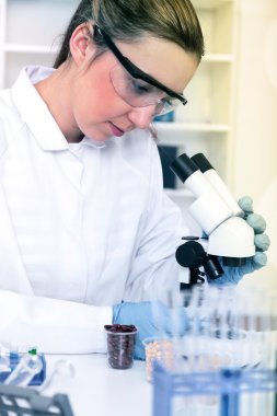 bir laboratuarda mikroskop ile çalışan kadın