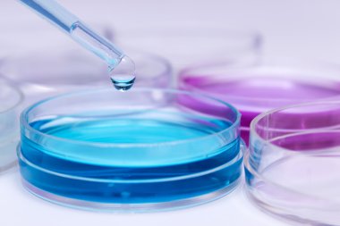 renkli sıvı ve petri yemekler damla ile pipet
