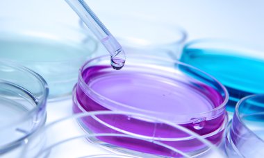 renkli sıvı ve petri yemekler damla ile pipet