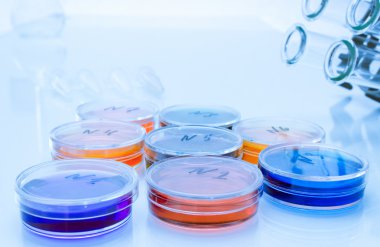 Eski plastik petri dishes.toned görüntüde sıvı renk 