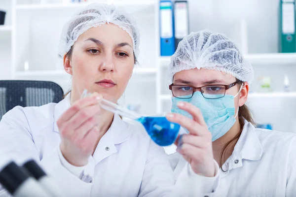 Group of the students working at the laboratory. — Stock Photo, Image