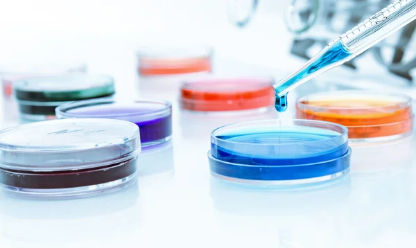 Pipeta con gota de líquido de color y placas de Petri . —  Fotos de Stock