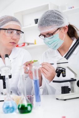 Bilim adamlarının bir laboratuvar kimyasal test üzerinde çalışan ekip