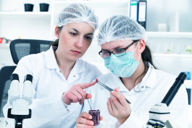Bilim adamlarının bir laboratuvar kimyasal test üzerinde çalışan ekip