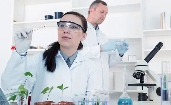 Team van wetenschappers in een laboratorium bezig met chemische testen — Stockfoto