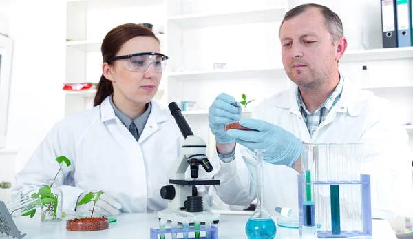 Squadra di scienziati in un laboratorio che lavora sui test chimici — Foto Stock