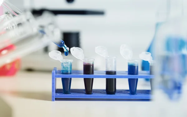 DNA samples are loaded  plate for PCR analysis — Stock Photo, Image