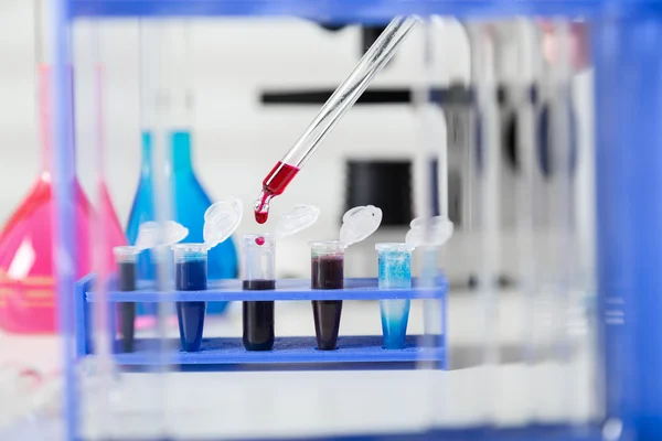 Зразки крові для дослідження в мікротрубах — стокове фото