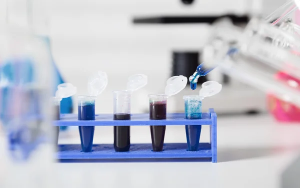 DNA samples are loaded  plate for PCR analysis — Stock Photo, Image