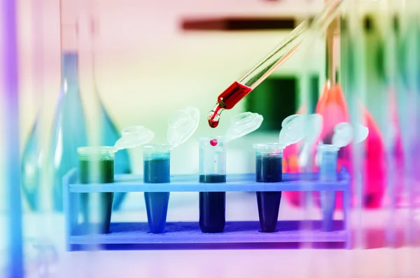 Blood samples for research in microtubes — Stock Photo, Image